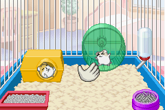 Petz - Hamsterz Life 2 Screenshot 1